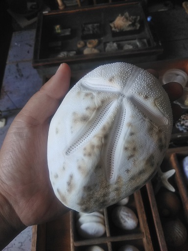 c0172261_07314308.jpg