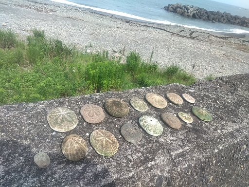 c0172261_07320496.jpg