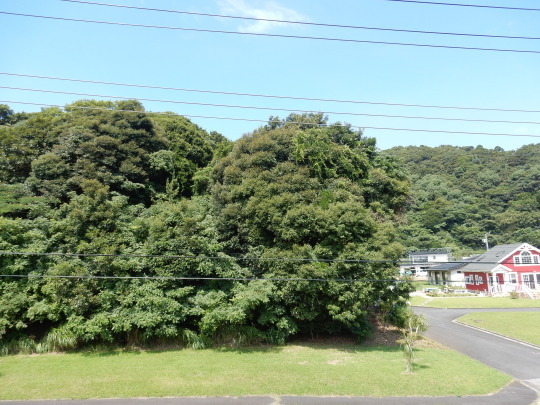 f0060461_09460740.jpg