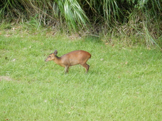 f0060461_09481105.jpg