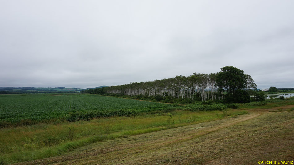 c0190971_16152687.jpg