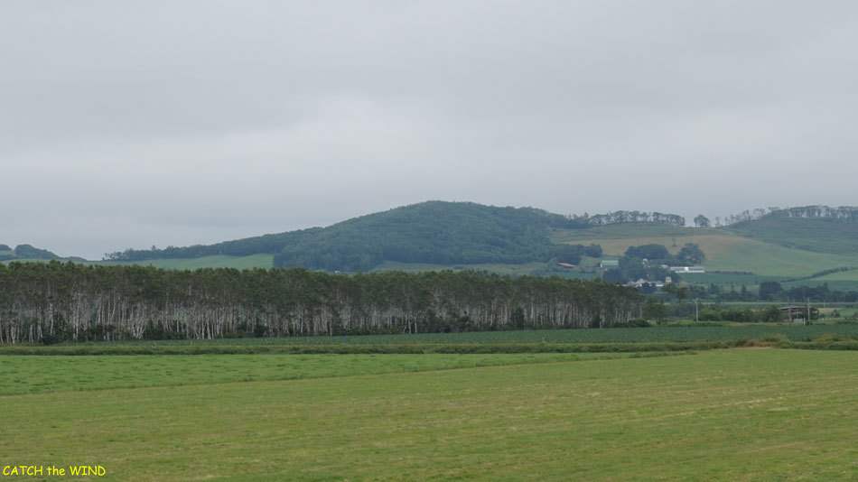 c0190971_16155229.jpg