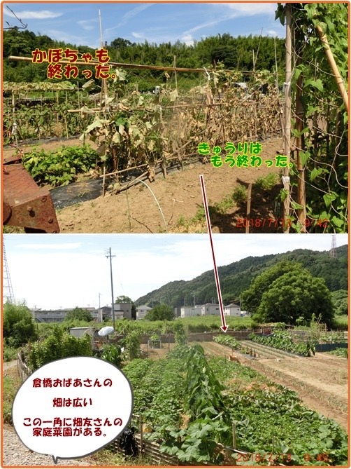 d0007071_14210995.jpg