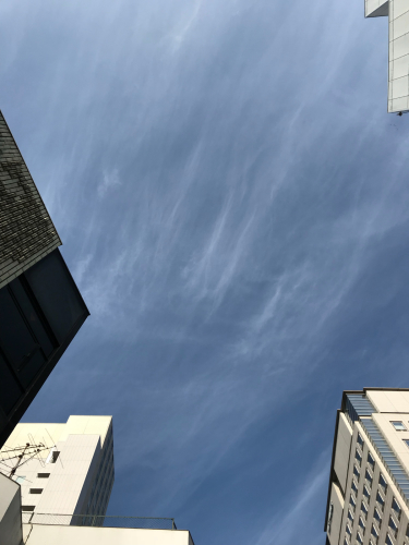 d0144871_07354545.jpg