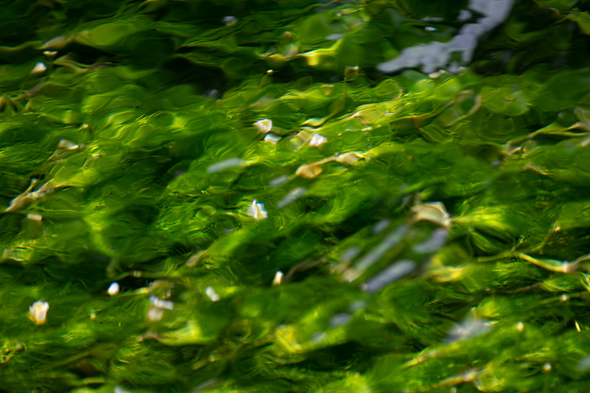 a0301676_17143183.jpg