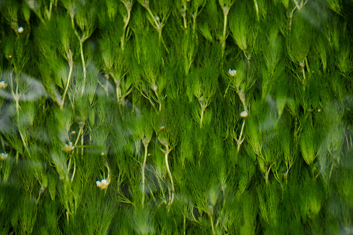 a0301676_17145394.jpg