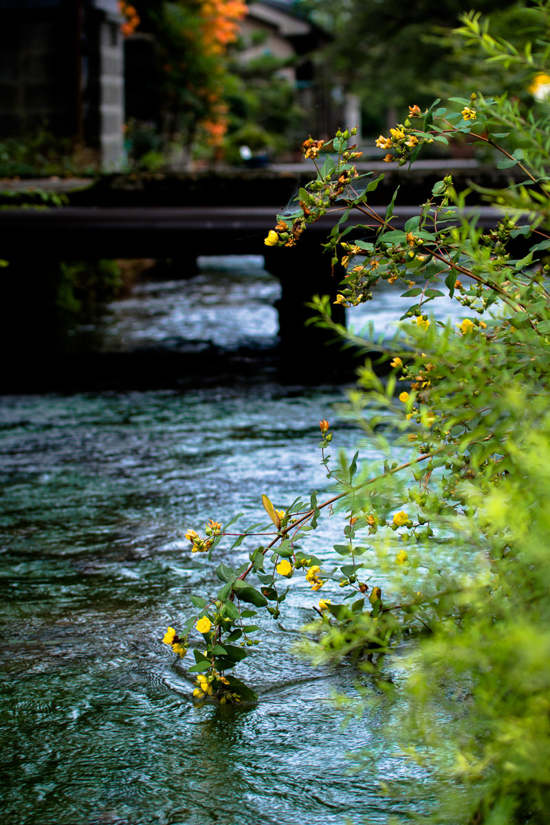 a0301676_17220869.jpg