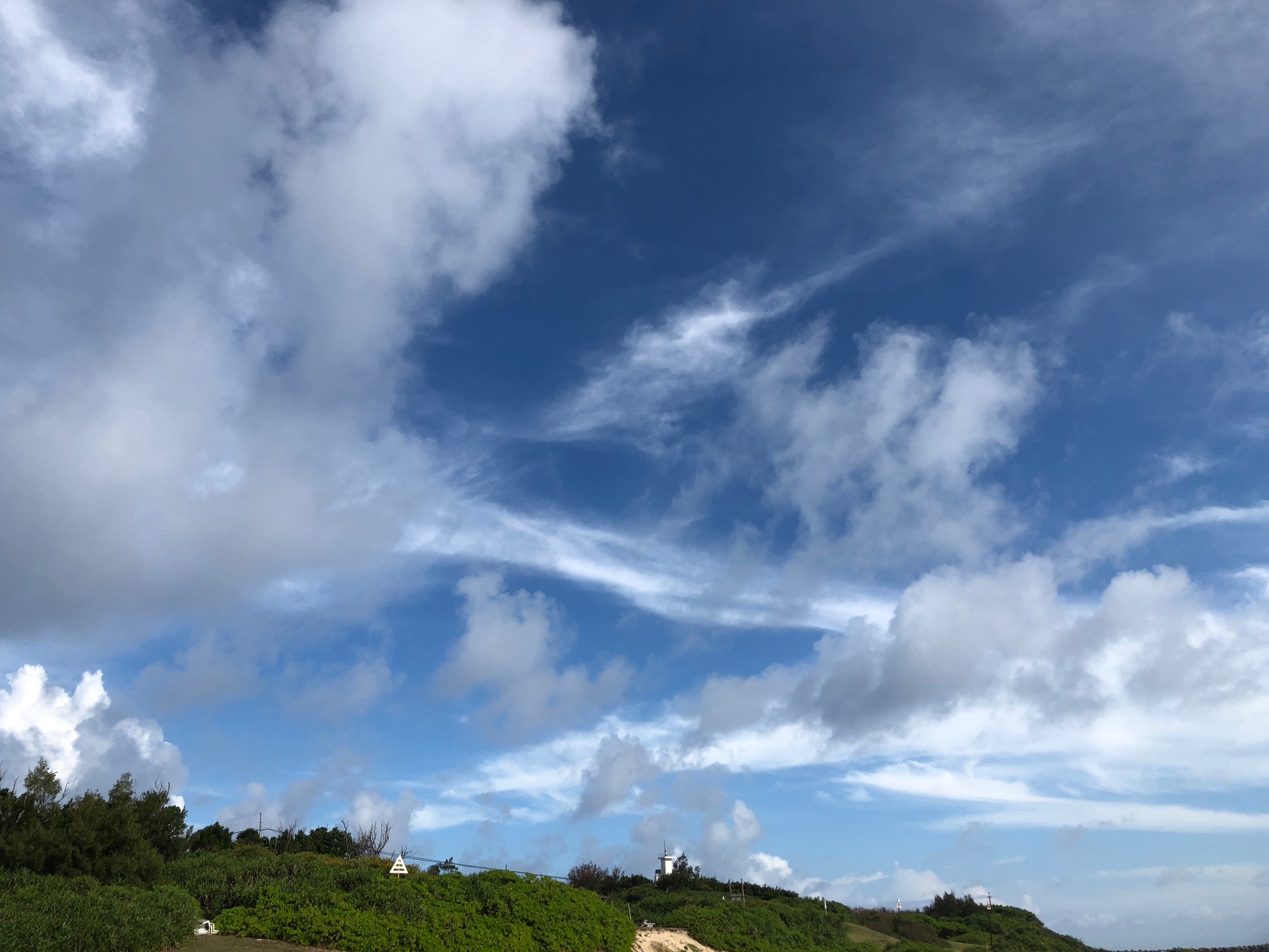 d0363878_2057257.jpg