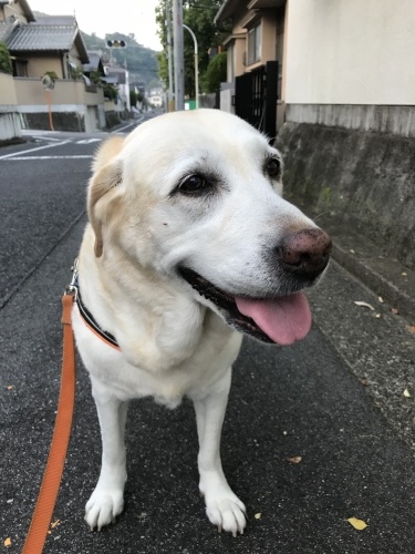 f0315081_17464389.jpeg
