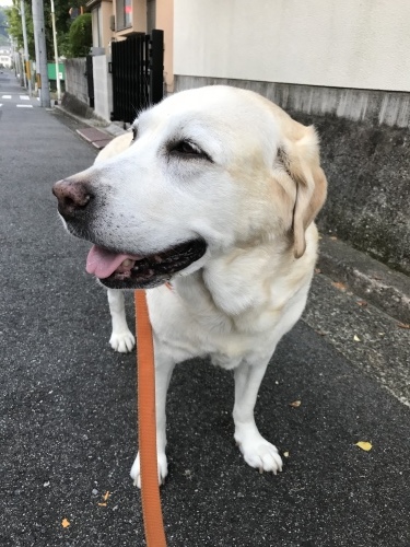f0315081_17471969.jpeg