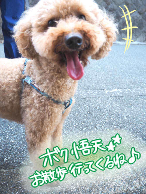 暑くても元気!_f0357682_13073942.jpg
