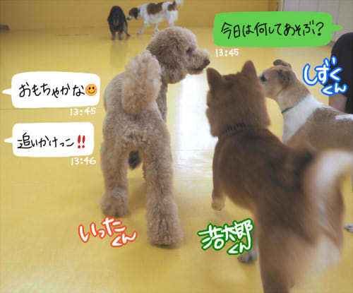 暑くても元気!_f0357682_13150011.jpg