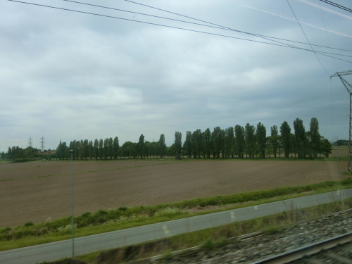 b0214184_21425914.jpg
