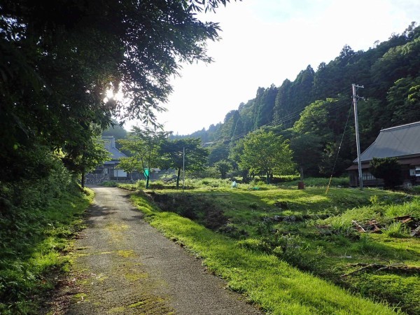 RZ250改 10 3/3 島津越え 地蔵峠 杉 保月 五僧_a0339187_22105448.jpg