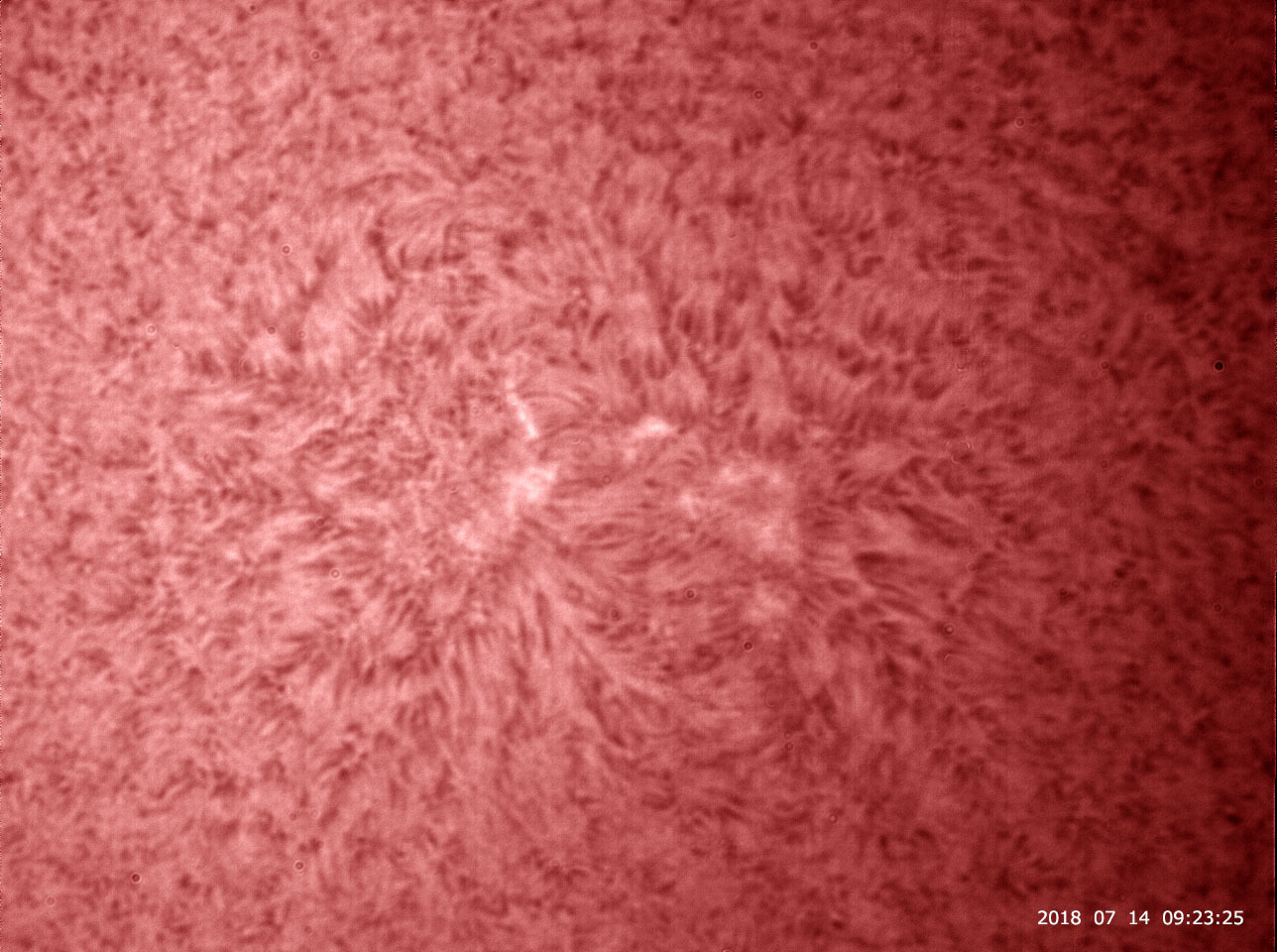 7月14日の太陽_e0174091_11032389.jpg