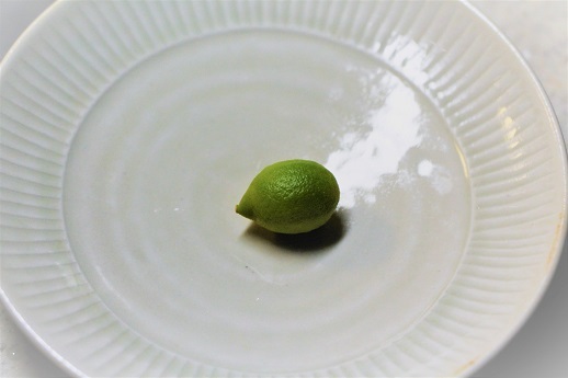 レモン_a0333195_10442364.jpg