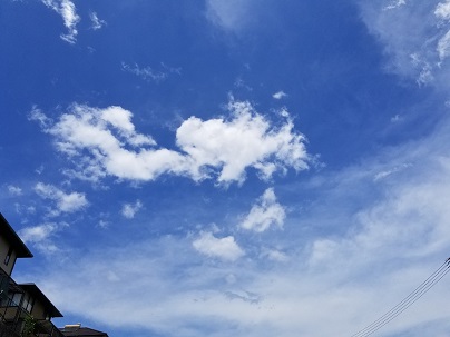 d0040901_2155124.jpg