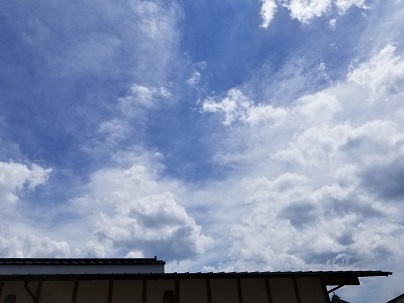 d0040901_21551467.jpg