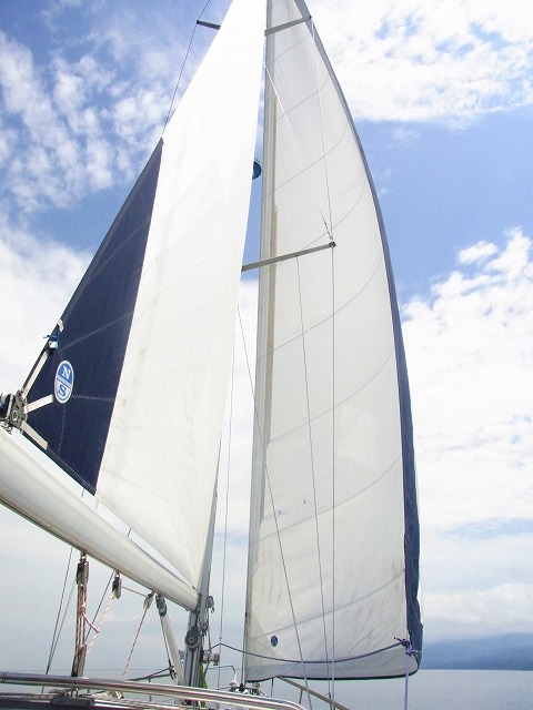 f0157901_21342353.jpg
