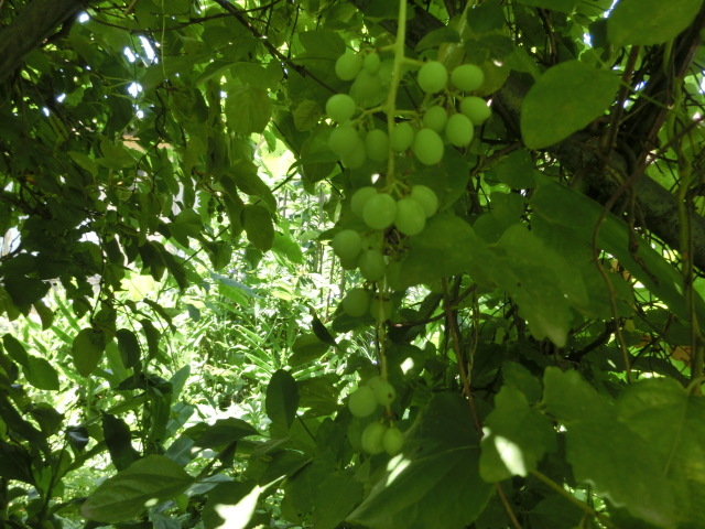 a0203003_14174874.jpg