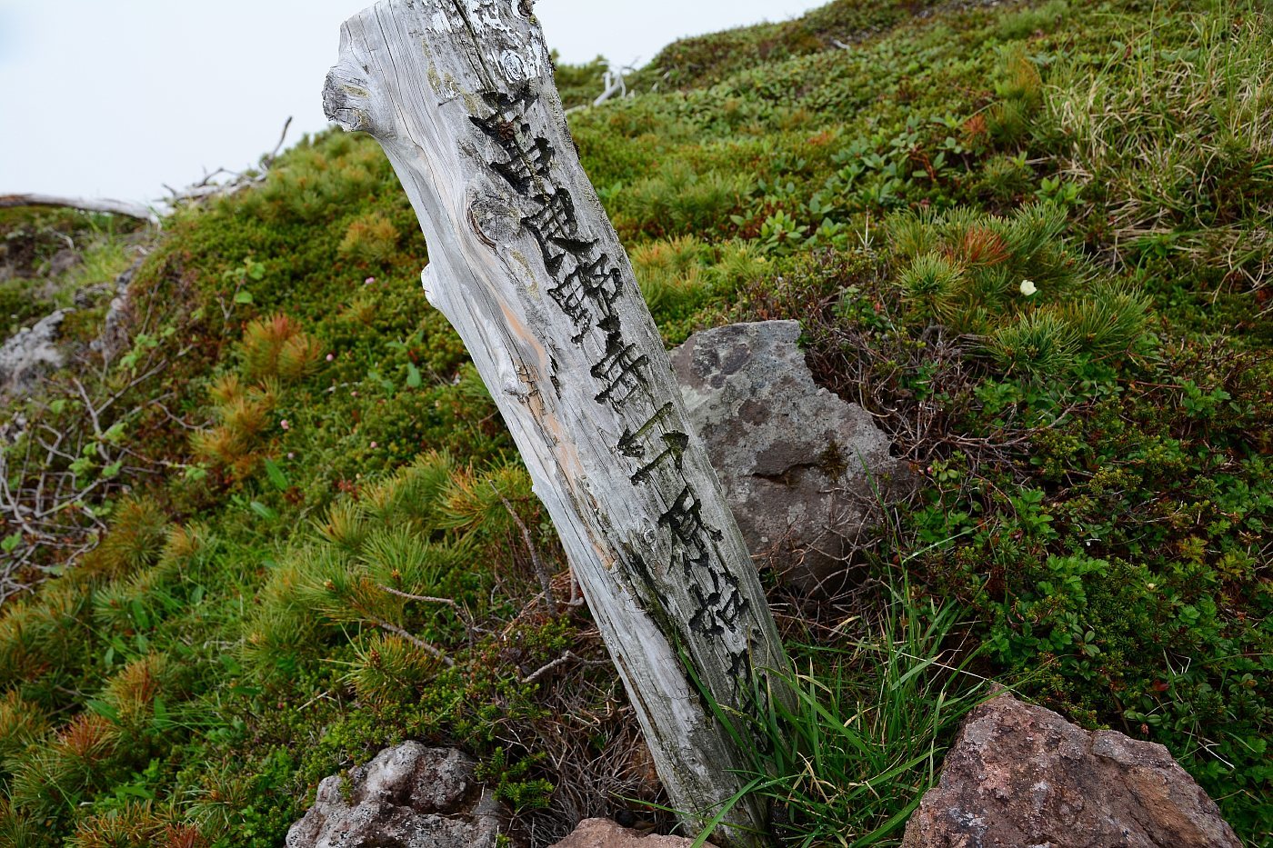 a0248508_19160473.jpg