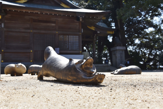 風土の祭りの様子【その４】_c0366011_11593847.jpg