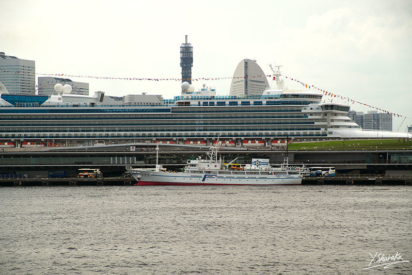 f0344614_12360480.jpg