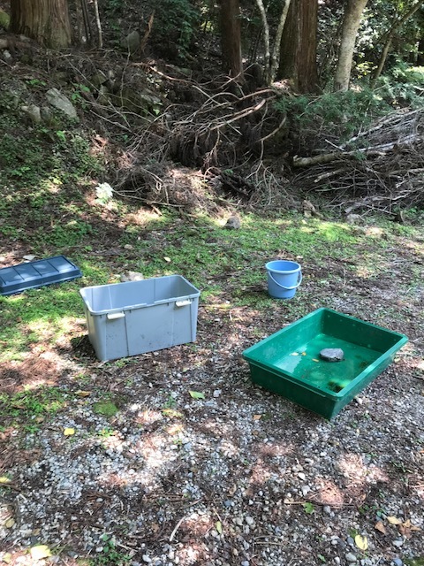 f0177529_20220646.jpeg