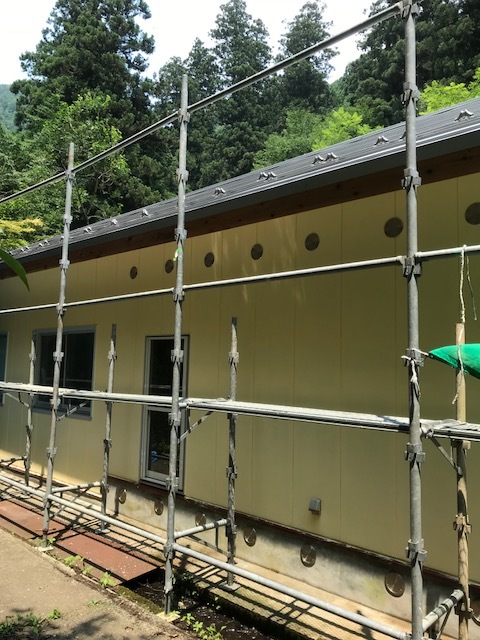 f0177529_20263751.jpeg