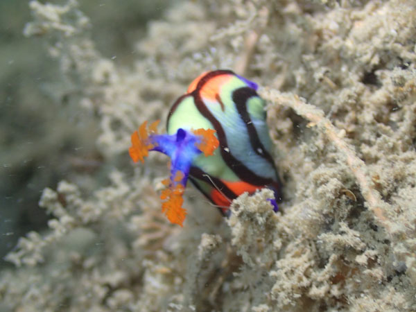 d0164831_17450115.jpg