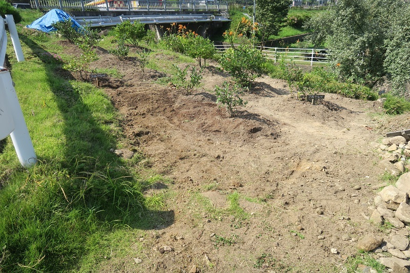 f0076731_20514265.jpg