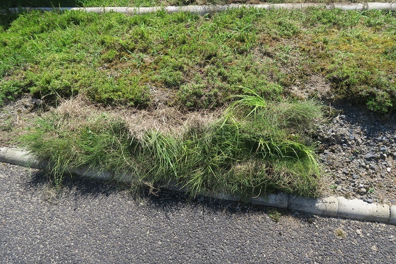 f0076731_20524329.jpg