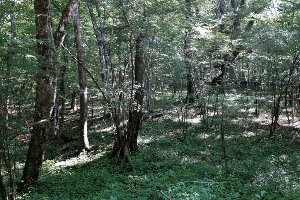 c0342534_21490538.jpg