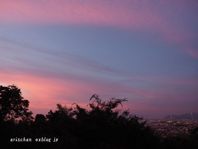 瀬戸内の夏の夕暮れ～薄暮は紫に～♫_f0295238_21130523.jpg