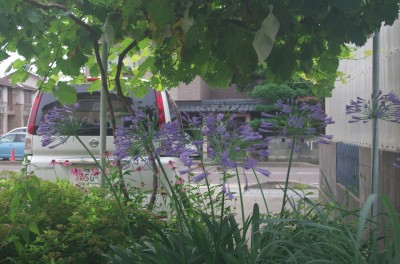 b0169848_15441280.jpg