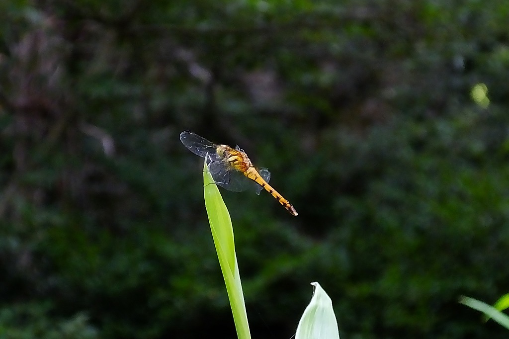 b0236251_14225449.jpg