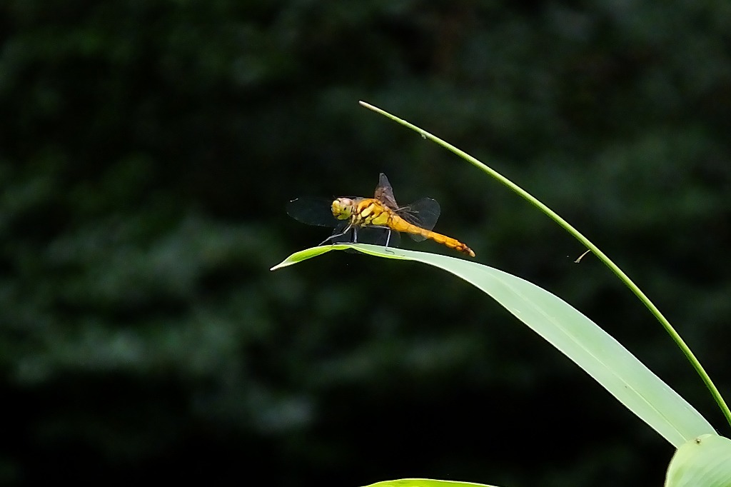 b0236251_14225839.jpg