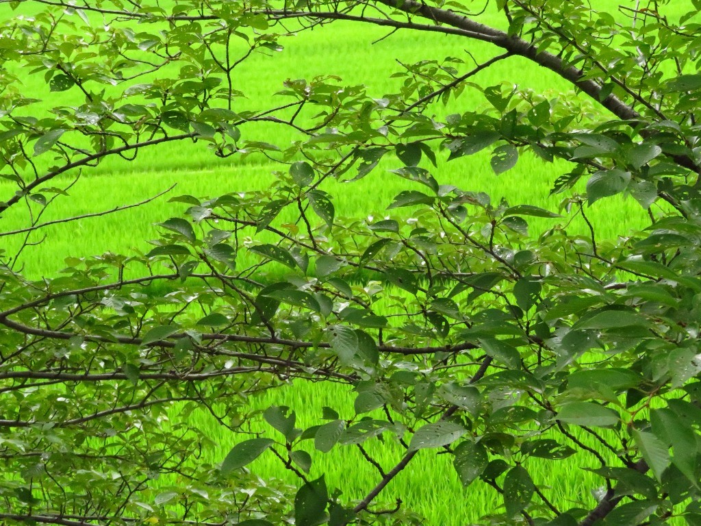 a0018655_09032585.jpg