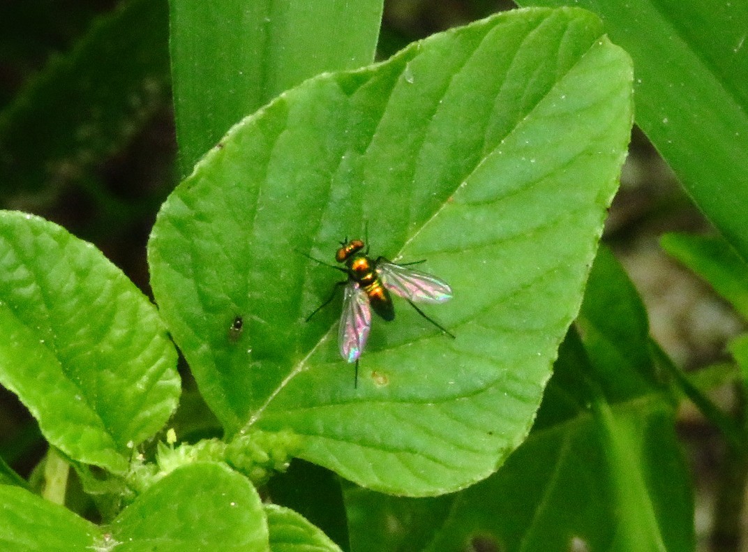 a0018655_09123796.jpg