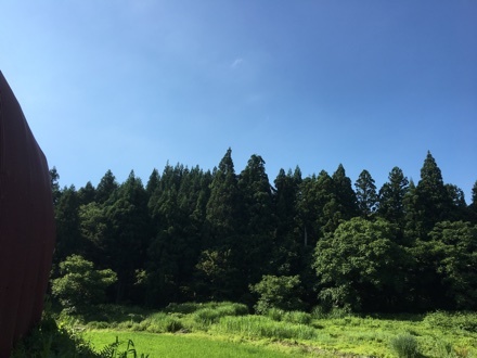 a0346455_16031199.jpeg