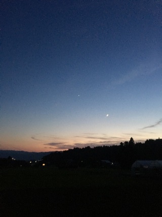 a0346455_19590734.jpeg