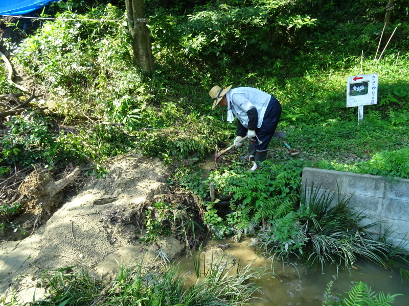 c0108460_20061304.jpg