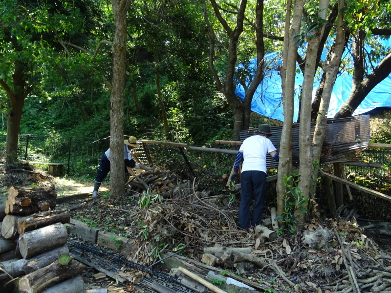 c0108460_20063634.jpg