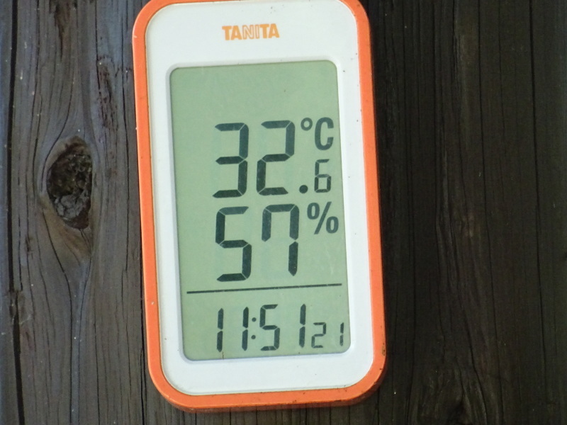 c0108460_20150977.jpg