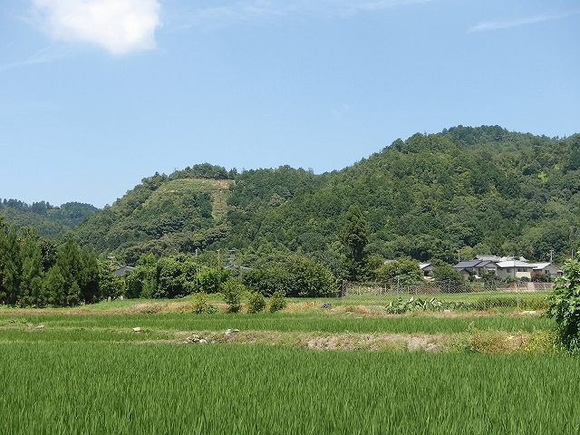 b0044663_10170566.jpg