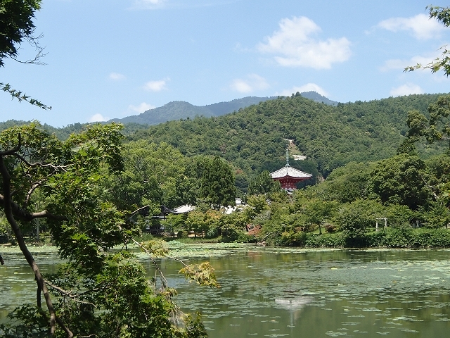 b0044663_10204465.jpg