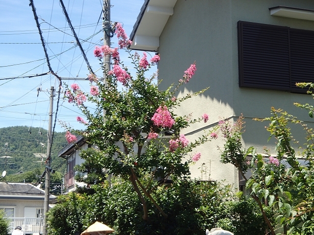 b0044663_10235578.jpg