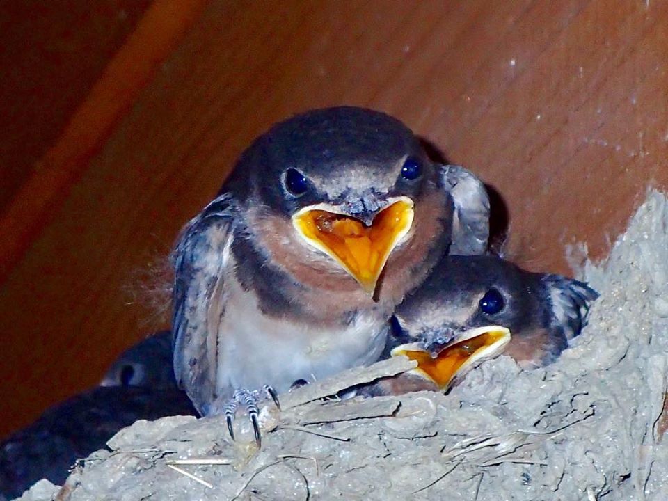 c0123363_16162615.jpg