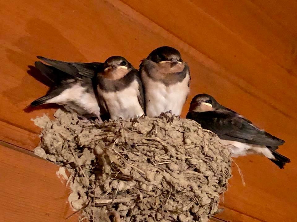 c0123363_1681287.jpg