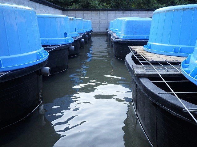 c0105569_02291846.jpg